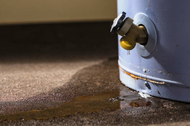  Auburn, MI Water damage restoration Pros