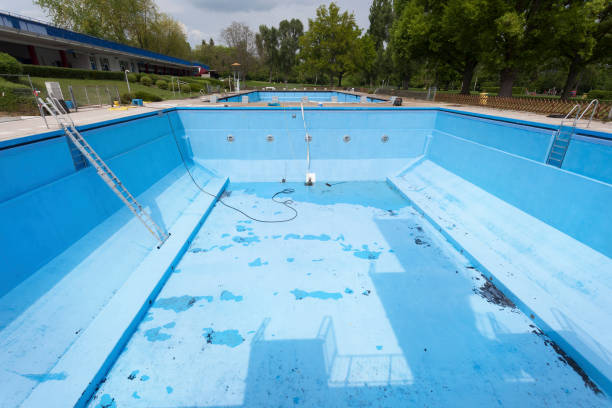 Best Basement water damage restoration  in Auburn, MI