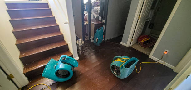 Best Flooded house restoration  in Auburn, MI