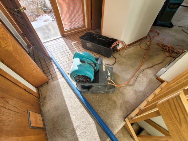 Best Sewage cleanup and water damage restoration  in Auburn, MI