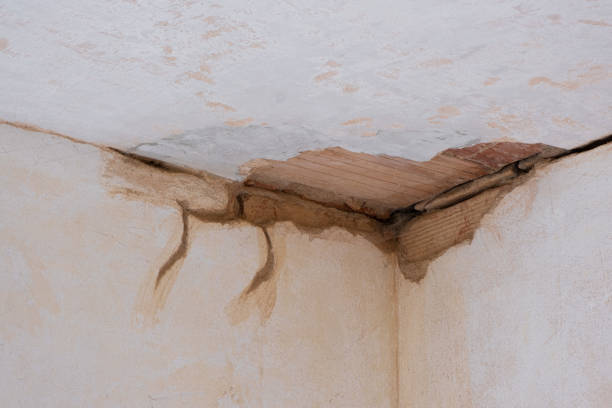 Best Ceiling water damage repair  in Auburn, MI