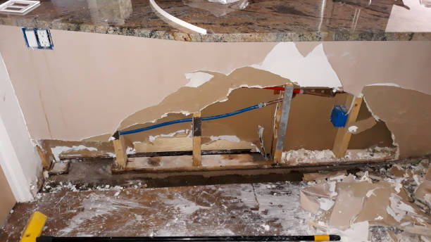 Best Water damage restoration near me  in Auburn, MI