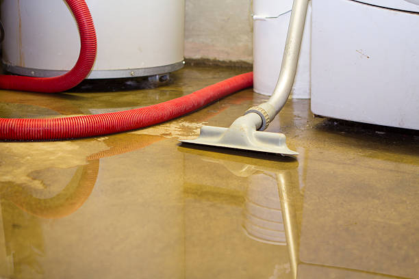 Best Emergency water damage restoration  in Auburn, MI