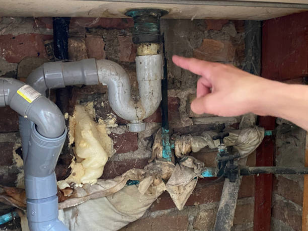 Best Water damage restoration near me  in Auburn, MI