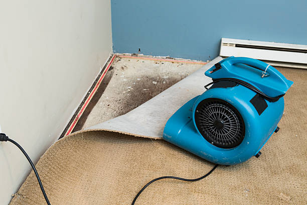 Best Emergency water damage restoration  in Auburn, MI